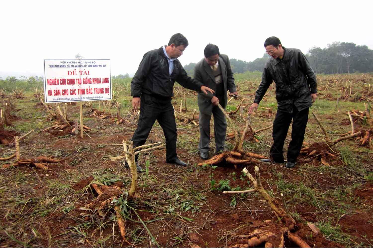 Xem chi tiết